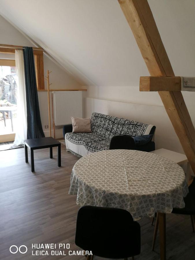 Appartamento Mestansky Dum Rozmberk 31 Rožmberk nad Vltavou Esterno foto